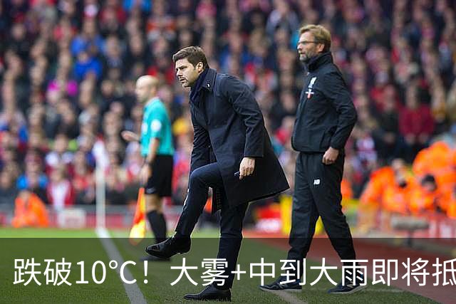 跌破10℃！大雾+中到大雨即将抵达