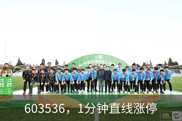 603536，1分钟直线涨停